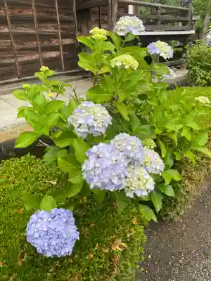 大蔵院(群馬県)