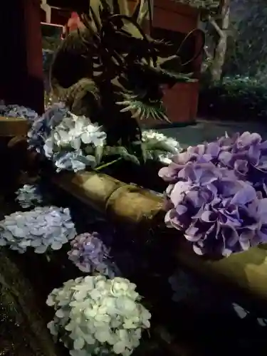 楽法寺（雨引観音）の自然