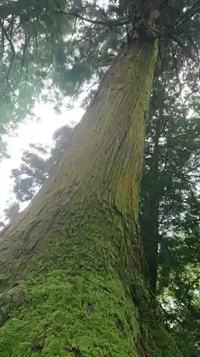 健武山神社の自然