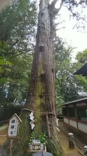 一言主神社(茨城県)