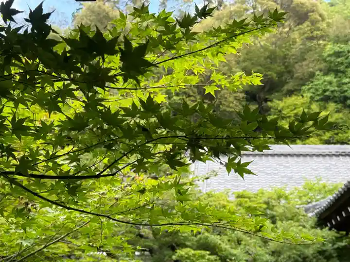 西方山極楽寺(岐阜県)