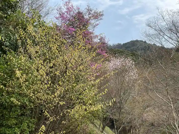 三室戸寺(京都府)