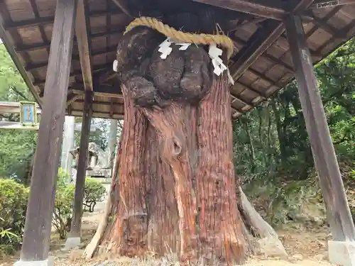 大直禰子神社(奈良県)