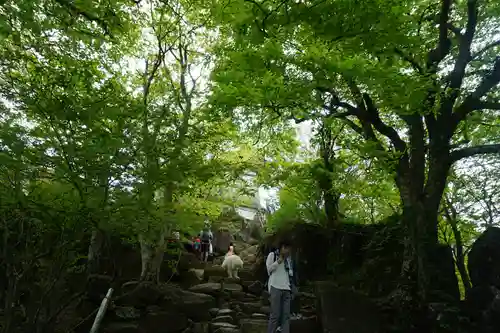 筑波山神社の自然
