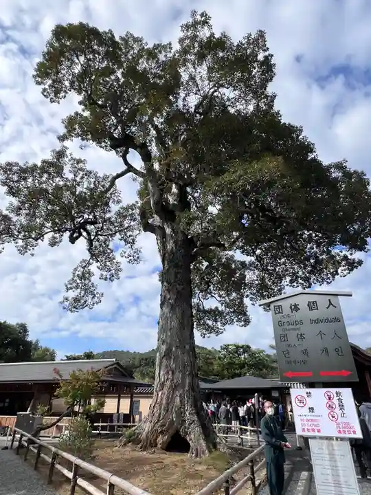鹿苑寺(金閣寺)(京都府)