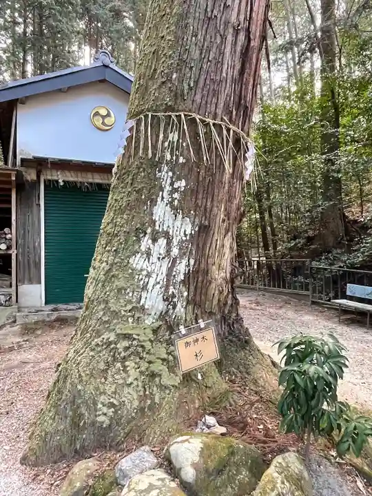 八大神社の自然