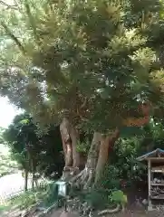 賀久留神社(静岡県)