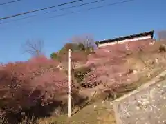 楽法寺（雨引観音）の周辺