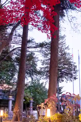 諏訪大社下社秋宮(長野県)