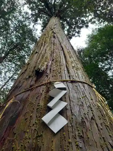 元伊勢内宮 皇大神社の自然