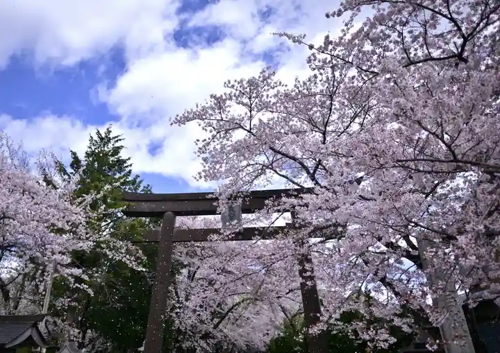 冨士御室浅間神社(山梨県)