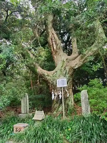 白羽神社の建物その他