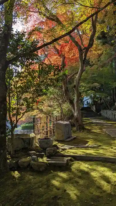 苗秀寺(京都府)