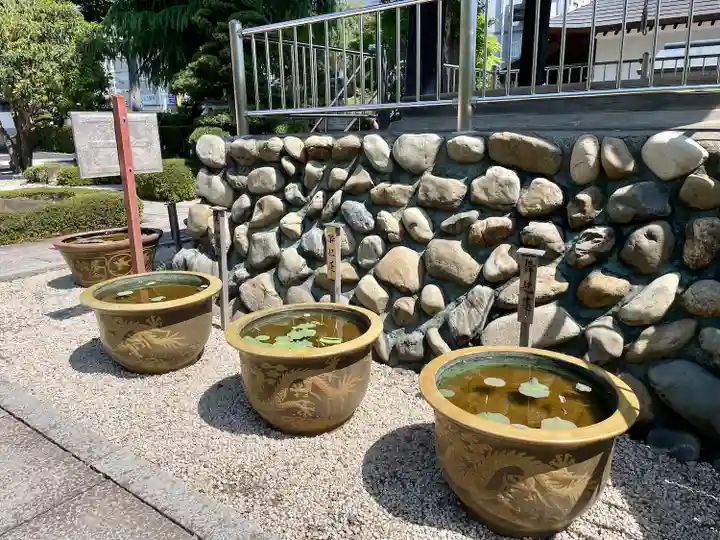 宝泉寺(東京都)