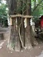 秩父神社(埼玉県)