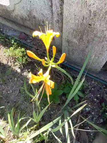 三輪神社の自然