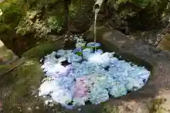 磐椅神社の手水