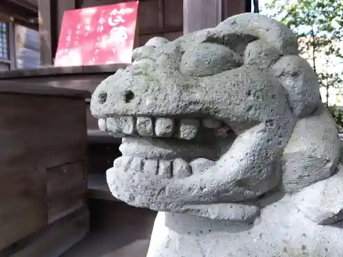 杉杜白髭神社の狛犬