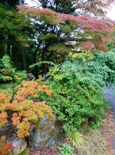 平岸天満宮・太平山三吉神社の自然