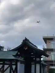 鶴満寺の山門