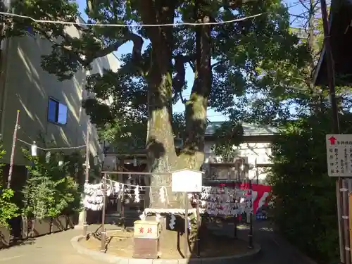 溝口神社の自然