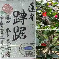 本法寺の御朱印