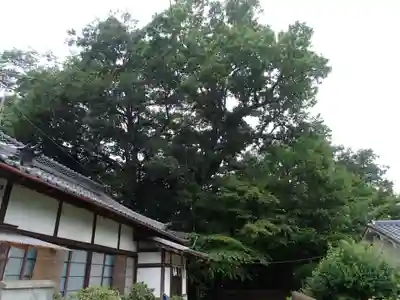 神坐日向神社(大神神社摂社)の本殿・本堂