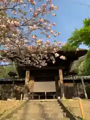 横浜　西方寺(神奈川県)