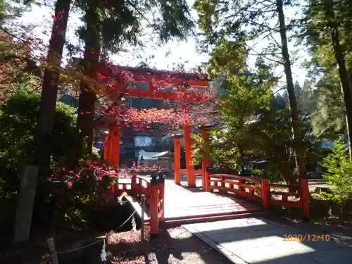 丹生都比売神社の鳥居