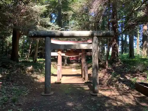 白幡神社の鳥居