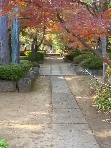 豪徳寺(東京都)