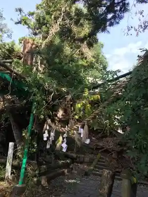 白鳥神社のその他建物
