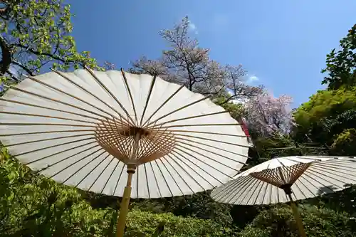 岡寺（龍蓋寺）(奈良県)