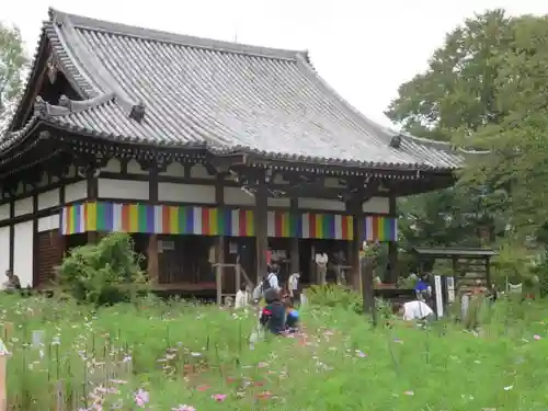 般若寺 ❁﻿コスモス寺❁の建物その他