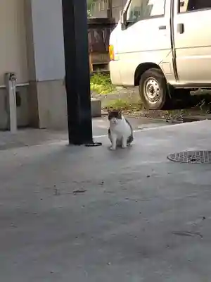 正覚寺(福井県)