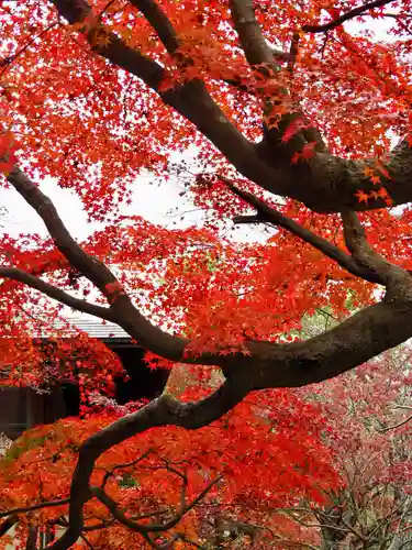 鎌倉宮(神奈川県)