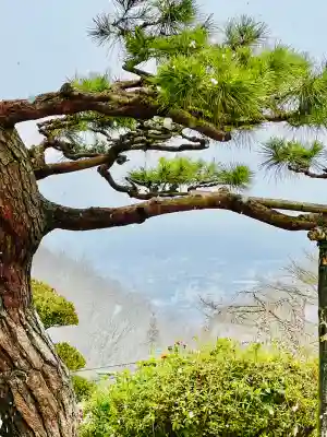 音楽寺の{uncategorized: "未分類", other: "その他", undefined: "問題あり", building: "その他建物", grave: "お墓", sacred_gate: "鳥居", guardian: "狛犬", statue: "像", buddha: "仏像", history: "歴史", nature: "自然", garden: "庭園", animal: "動物", pagoda: "塔", temizu: "手水舎", mountain_gate: "山門・神門", sanctuary: "本殿・本堂", subordinate: "末社・摂社", art: "芸術", scenery: "景色", jizo: "地蔵", ema: "絵馬", goshuin: "御朱印", omikuji: "おみくじ", items: "授与品その他", amulet: "お守り", goshuincho: "御朱印帳", eats: "食事", festival: "お祭り", votive_dance: "神楽", shichigosan: "七五三参", wedding: "結婚式", experience: "体験その他", initially: "初詣", around: "周辺", anti_infection: "感染症対策"}