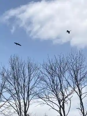 長沼神社の周辺