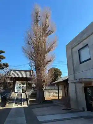 慶国寺(千葉県)