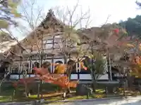 禅林寺(永観堂)(京都府)
