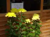 菊名神社の自然