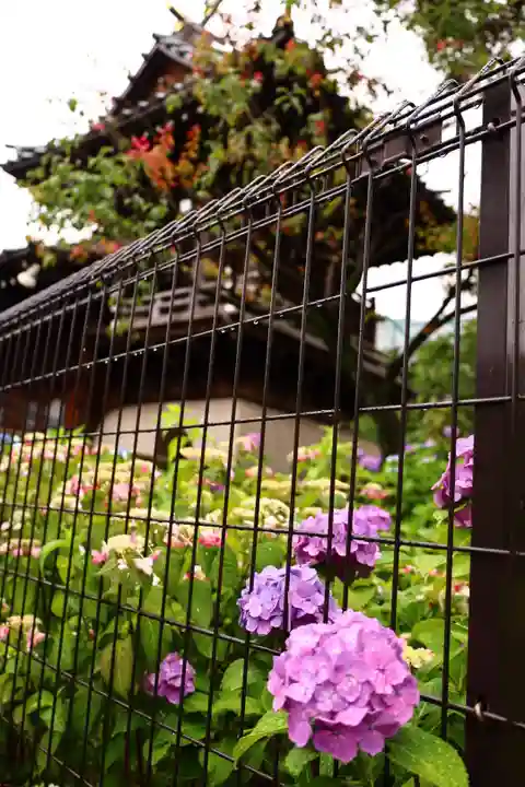 白山神社(東京都)