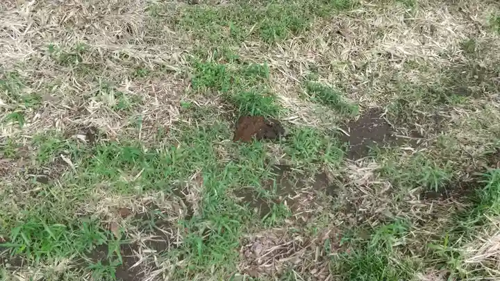 酒門神社のその他建物
