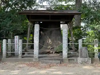 丸子山王日枝神社(神奈川県)