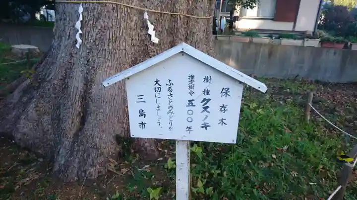 神明宮(御園)の自然