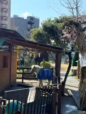 五方山熊野神社の{uncategorized: "未分類", other: "その他", undefined: "問題あり", building: "その他建物", grave: "お墓", sacred_gate: "鳥居", guardian: "狛犬", statue: "像", buddha: "仏像", history: "歴史", nature: "自然", garden: "庭園", animal: "動物", pagoda: "塔", temizu: "手水舎", mountain_gate: "山門・神門", sanctuary: "本殿・本堂", subordinate: "末社・摂社", art: "芸術", scenery: "景色", jizo: "地蔵", ema: "絵馬", goshuin: "御朱印", omikuji: "おみくじ", items: "授与品その他", amulet: "お守り", goshuincho: "御朱印帳", eats: "食事", festival: "お祭り", votive_dance: "神楽", shichigosan: "七五三参", wedding: "結婚式", experience: "体験その他", initially: "初詣", around: "周辺", anti_infection: "感染症対策"}