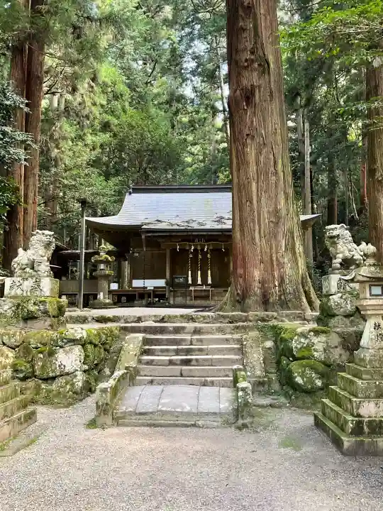 室生龍穴神社の{uncategorized: "未分類", other: "その他", undefined: "問題あり", building: "その他建物", grave: "お墓", sacred_gate: "鳥居", guardian: "狛犬", statue: "像", buddha: "仏像", history: "歴史", nature: "自然", garden: "庭園", animal: "動物", pagoda: "塔", temizu: "手水舎", mountain_gate: "山門・神門", sanctuary: "本殿・本堂", subordinate: "末社・摂社", art: "芸術", scenery: "景色", jizo: "地蔵", ema: "絵馬", goshuin: "御朱印", omikuji: "おみくじ", items: "授与品その他", amulet: "お守り", goshuincho: "御朱印帳", eats: "食事", festival: "お祭り", votive_dance: "神楽", shichigosan: "七五三参", wedding: "結婚式", experience: "体験その他", initially: "初詣", around: "周辺", anti_infection: "感染症対策"}