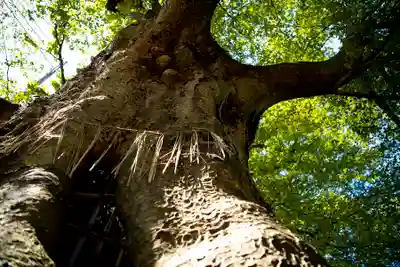 金峯神社(新潟県)