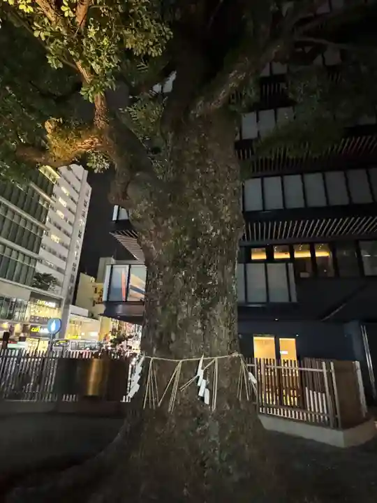 警固神社(福岡県)