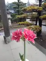 伏木香取神社(茨城県)